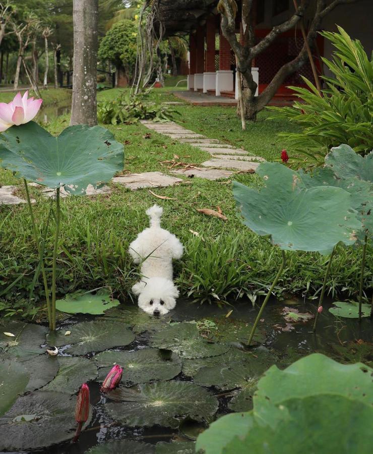 Les Hameaux De L'Orient Hotel Ho Si Minh-város Kültér fotó