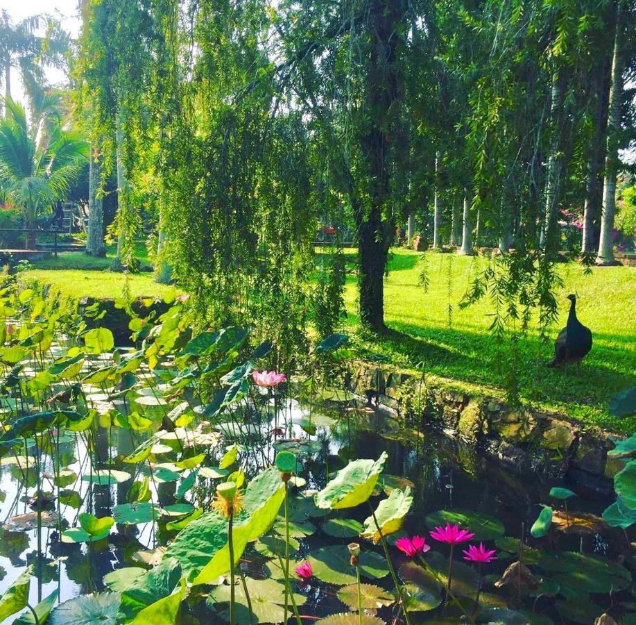 Les Hameaux De L'Orient Hotel Ho Si Minh-város Kültér fotó