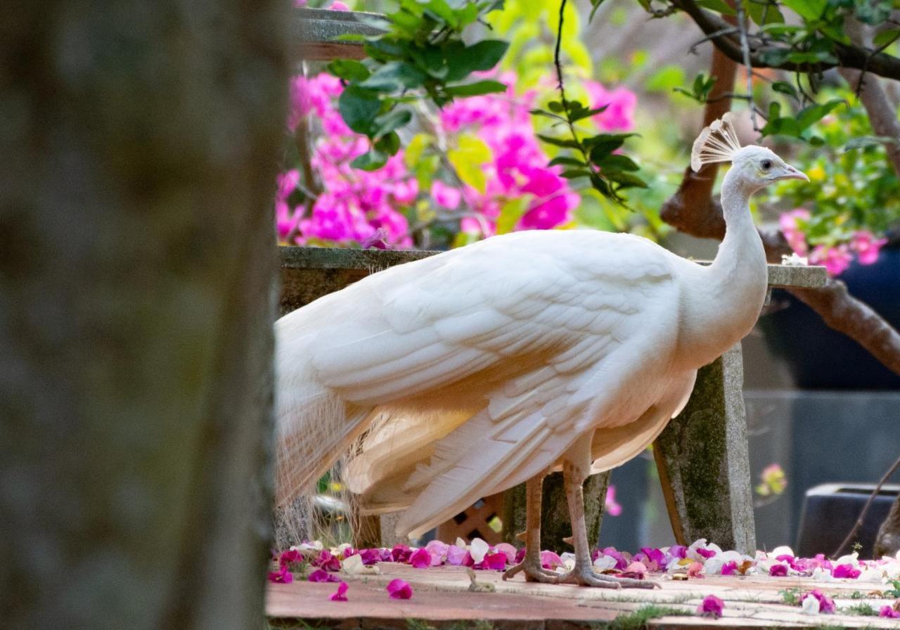 Les Hameaux De L'Orient Hotel Ho Si Minh-város Kültér fotó